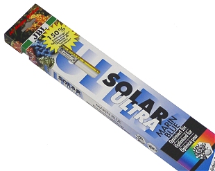 JBL Solar Ultra Marin Day T5