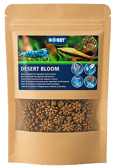 Hobby Desert Bloom Hobby Desert Bloom