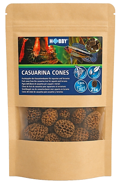 Hobby Casuarina Cones Hobby Casuarina Cones