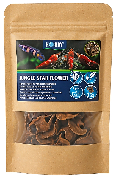 Hobby Jungle Star Flowers Hobby Jungle Star Flowers