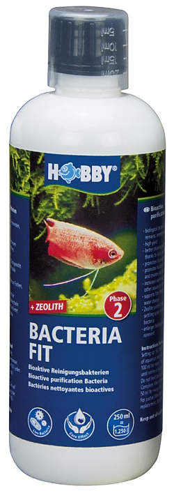 Hobby Bacteria Fit