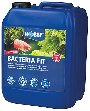 Hobby Bacteria Fit