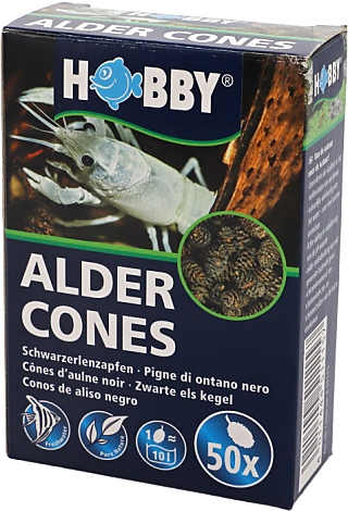 Hobby Alder Cones -Erlenzapfen-