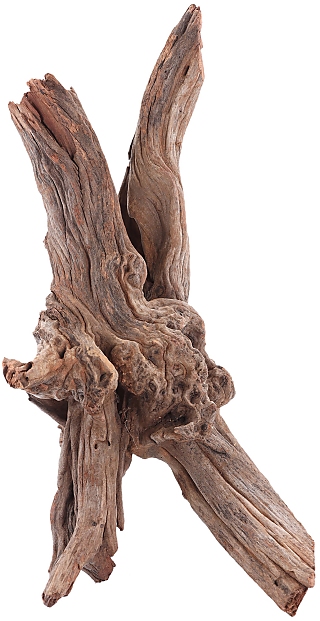 sera Drift Wood -Decoration Root-