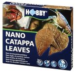 Hobby Catappa Leaves -Seemandelbaumblätter-