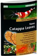 Folhas de Dennerle Nano Catappa